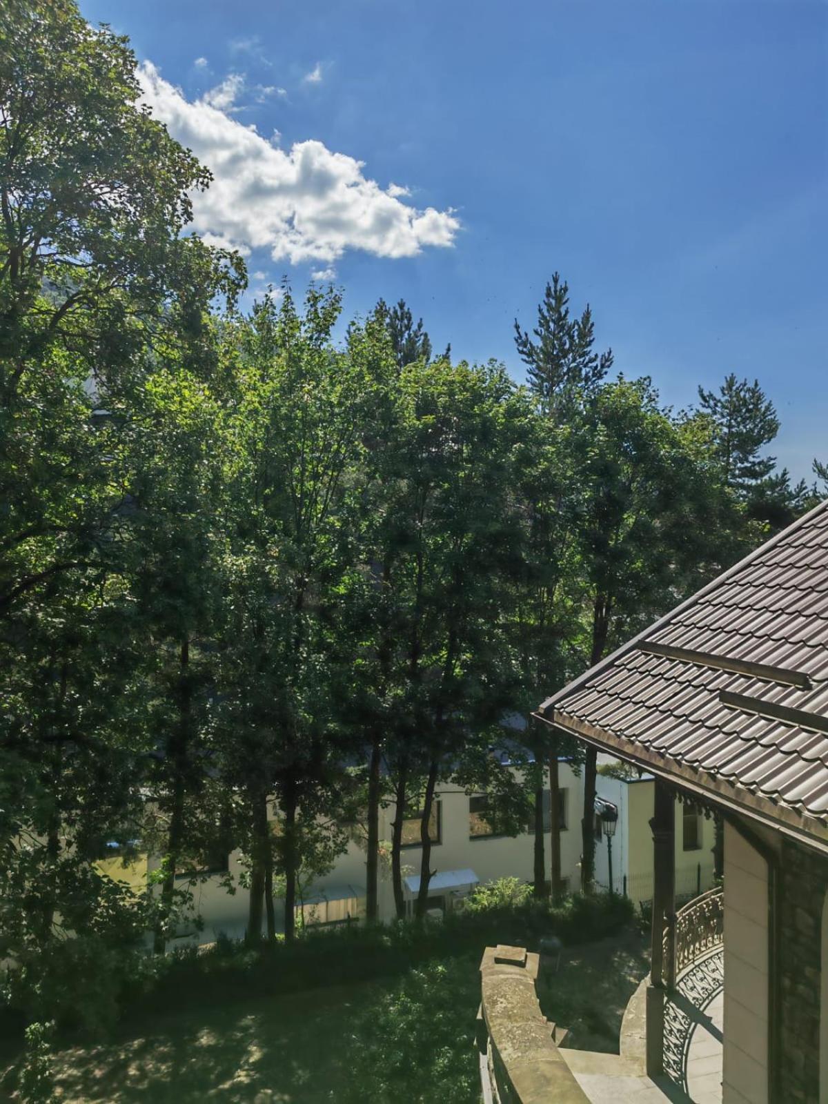 Castelul Stirbey Hotel Sinaia Ngoại thất bức ảnh